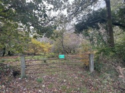 Images for Hawkchurch, Axminster