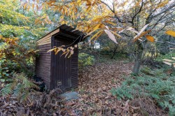 Images for Hawkchurch, Axminster