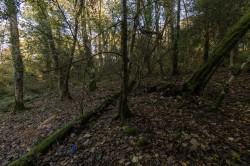 Images for Hawkchurch, Axminster