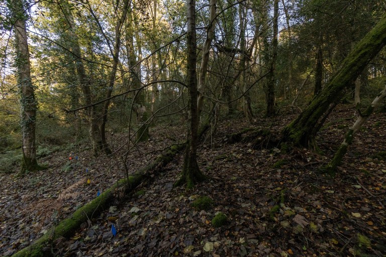 Images for Hawkchurch, Axminster