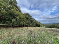 Images for Charley Road, Nanpantan