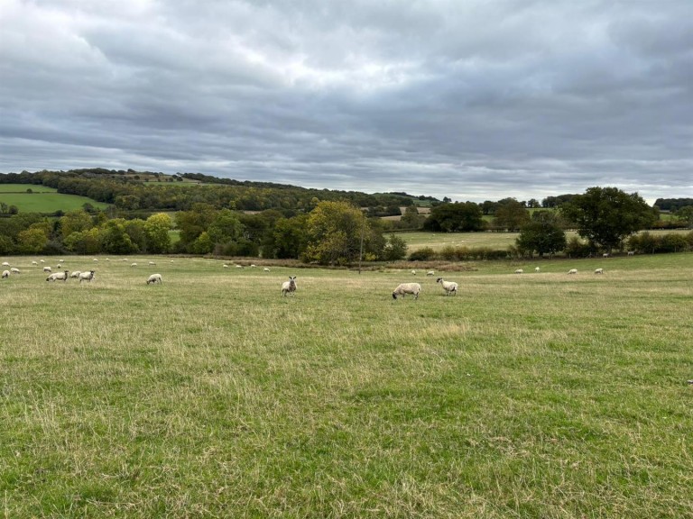 Images for Charley Road, Nanpantan