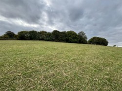 Images for Charley Road, Nanpantan