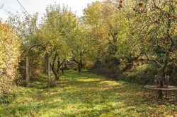 Images for Cobblers Green, Felsted, Dunmow