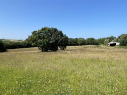 Images for Lydacott, Barnstaple