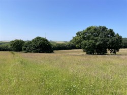 Images for Lydacott, Barnstaple