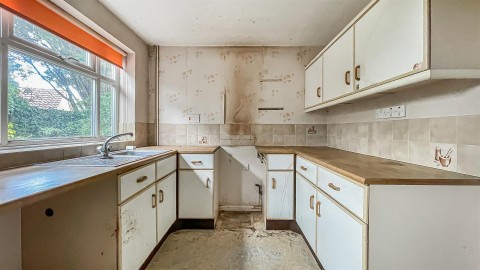 Click the photo for more details of Buckthorn, Ely