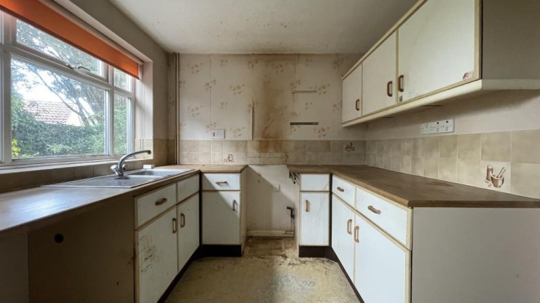 Images for Buckthorn, Ely