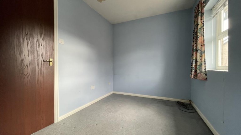 Images for Buckthorn, Ely