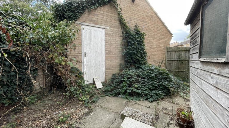 Images for Buckthorn, Ely