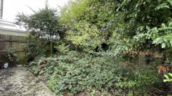 Images for Buckthorn, Ely