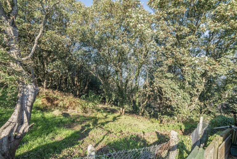 Images for Westward Ho!