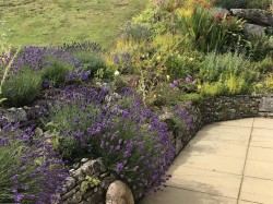 Images for Westward Ho!