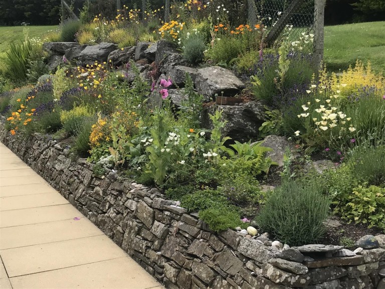 Images for Westward Ho!