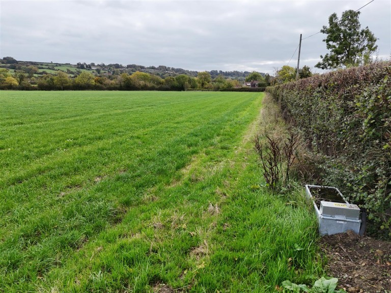 Images for Wincanton