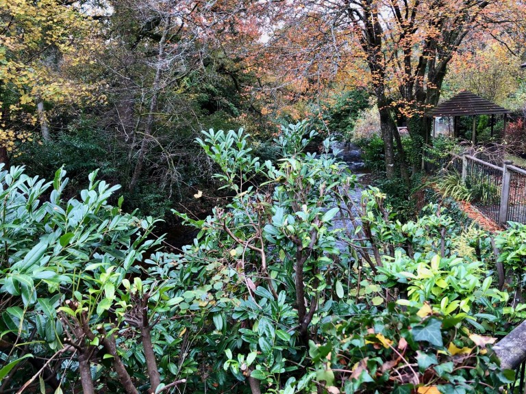 Images for Avonwick, South Brent