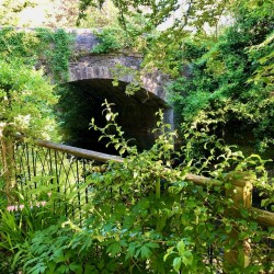 Images for Avonwick, South Brent