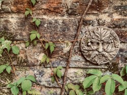 Images for Avonwick, South Brent