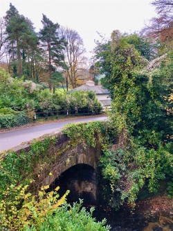 Images for Avonwick, South Brent