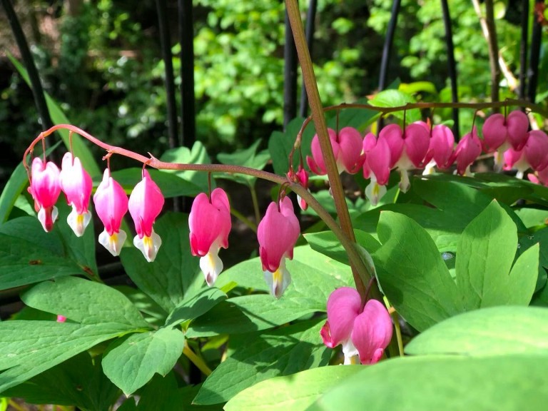 Images for Avonwick, South Brent