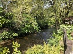 Images for Avonwick, South Brent