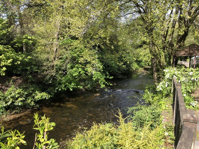 Images for Avonwick, South Brent