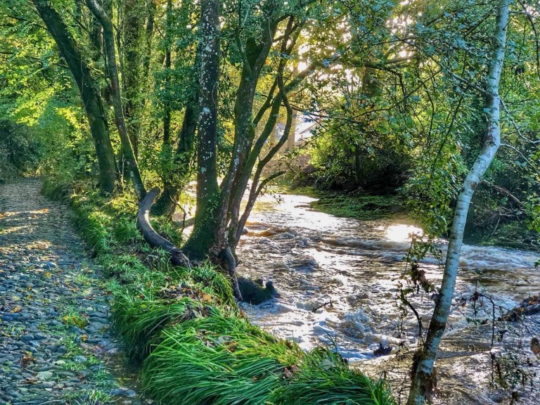 Images for Avonwick, South Brent