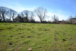Images for Lelant Downs, Hayle
