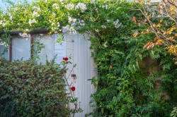 Images for Bembridge, Isle of Wight