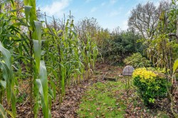 Images for Meavy Lane, Yelverton