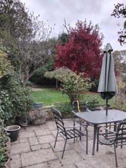 Images for Shanklin, Isle of Wight