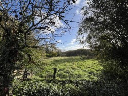 Images for Stoke Abbott, Beaminster