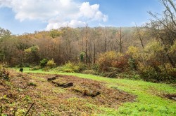 Images for Bovey Tracey, Newton Abbot