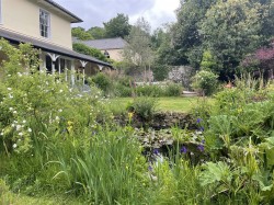 Images for Ashburton, Newton Abbot