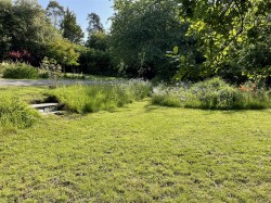 Images for Ashburton, Newton Abbot