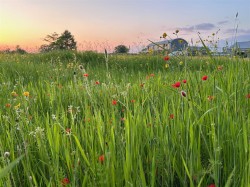 Images for Manston, Sturminster Newton