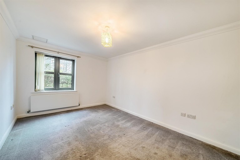 Images for Charlton Down, Dorchester