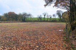 Images for East Anstey, Tiverton