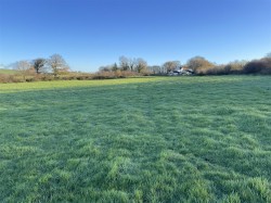 Images for Staple Cross, Hockworthy