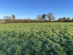 Images for Staple Cross, Hockworthy