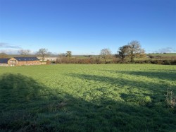 Images for Staple Cross, Hockworthy