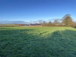 Images for Staple Cross, Hockworthy