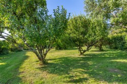 Images for Salwayash, Bridport