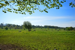 Images for South Park, Lincoln