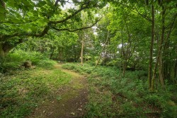 Images for St Anns Chapel, Gunnislake, Cornwall