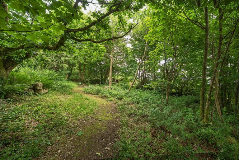 Images for St Anns Chapel, Gunnislake, Cornwall