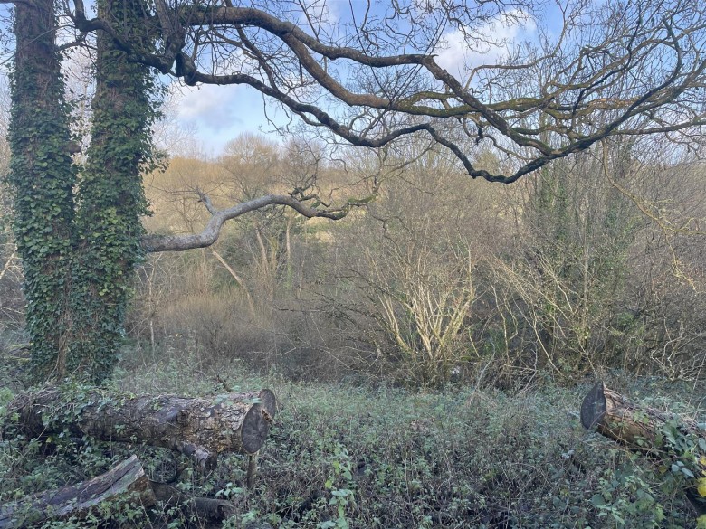 Click the photo for more details of Raleigh Hill, Bideford