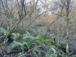 Images for Raleigh Hill, Bideford