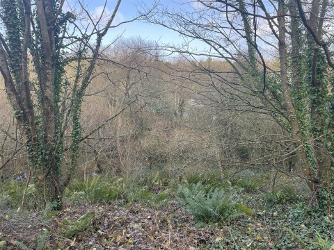 Click the photo for more details of Raleigh Hill, Bideford