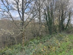 Images for Raleigh Hill, Bideford